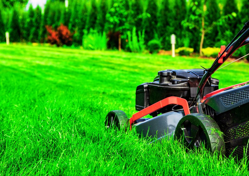 Tonte du jardin avec nos équipements professionnels